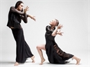Châu Âu gặp châu Á trên sân khấu múa đương đại 2014