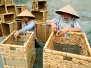 Độc đáo làng nghề truyền thống đan guột Lưu Thượng