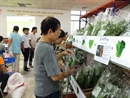 Ra mắt Trung tâm phân phối nông sản an toàn đầu tiên trên toàn quốc