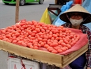 [Photo] Nhót chín đỏ rực "thắp lửa" trên khắp các góc phố Hà Nội