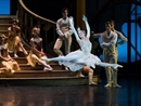 Giới thiệu vở ballet ‘Cô bé Lọ Lem’ lấy bối cảnh Hollywood tại Hà Nội