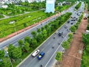Ngắm những tuyến phố cây xanh đẹp nhất Hà Nội dịp vào Thu