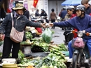 Rau xanh tại Hà Nội tiếp tục tăng giá do rét đậm