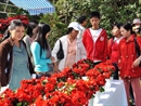 Triển lãm hoa, cây cảnh quốc tế ở Lâm Đồng