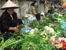 Giá rau xanh bán lẻ tăng mạnh ở các chợ Hà Nội 