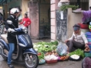 Hà Nội: Giá thực phẩm tăng cao do mưa rét kéo dài