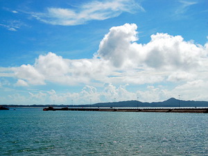 Cô Tô sẽ trở thành đảo hoa hấp dẫn khách du lịch