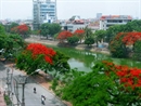 Năm 2013, Hà Nội-Hải Phòng tăng 20% số tour mới