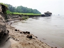 Sạt lở nghiêm trọng bờ sông Hồng thuộc huyện Ba Vì